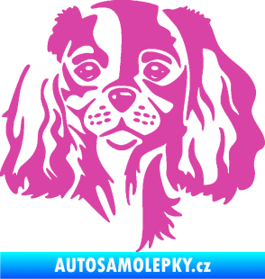 Samolepka Pes 132 pravá Cavalier king Charles spaniel růžová