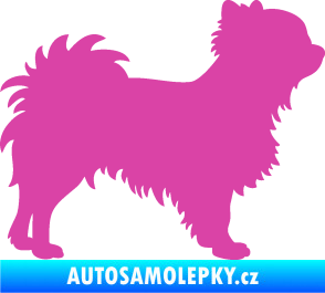 Samolepka Pes 156 pravá čivava růžová