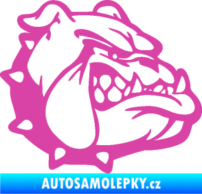 Samolepka Pes 174 pravá rozzuřený buldok růžová