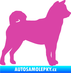 Samolepka Pes 191 pravá Shiba - Inu růžová