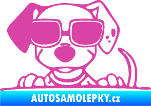 Samolepka Pes s brýlemi 101 levá v autě růžová