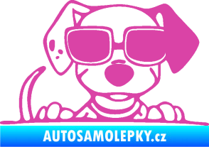 Samolepka Pes s brýlemi 101 pravá v autě růžová