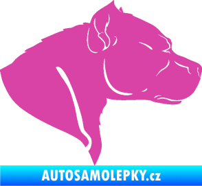 Samolepka Pitbull 004 pravá růžová