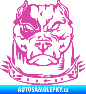 Samolepka Pitbull hlava 005 pravá růžová