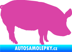 Samolepka Prase 001 pravá růžová