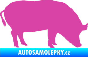 Samolepka Prase 004 pravá růžová