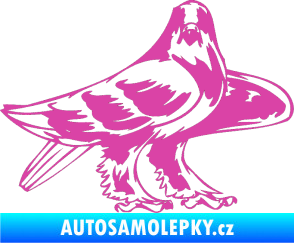 Samolepka Predators 047 pravá růžová