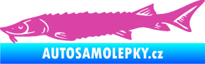 Samolepka Ryba 020 levá jeseter růžová