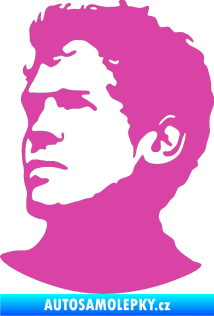 Samolepka Sebastian Vettel silueta levá růžová