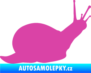 Samolepka Šnek 002 pravá růžová