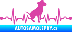Samolepka Srdeční tep 007 pravá pitbull růžová