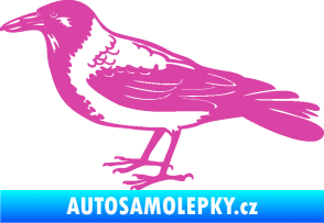 Samolepka Vrána 001 levá růžová