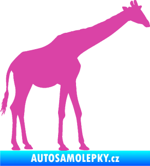 Samolepka Žirafa 002 pravá růžová