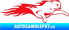 Samolepka Animal flames 018 pravá panter červená