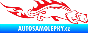 Samolepka Animal flames 056 pravá puma červená