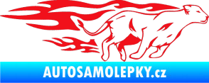 Samolepka Animal flames 084 pravá lvice červená