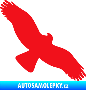 Samolepka Dravec na sklo 001 pravá červená