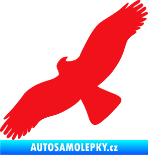 Samolepka Dravec na sklo 001 levá červená