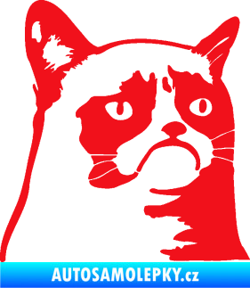 Samolepka Grumpy cat 002 pravá červená
