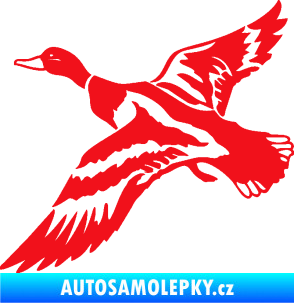 Samolepka Kachna divoká 001 levá kačer červená