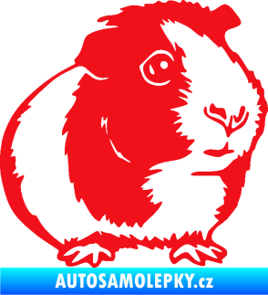 Samolepka Morče 003 pravá červená