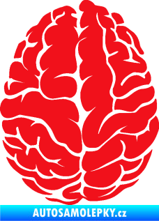 Samolepka Mozek 001 levá červená