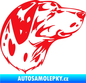 Samolepka Pes 002 pravá Dalmatin červená