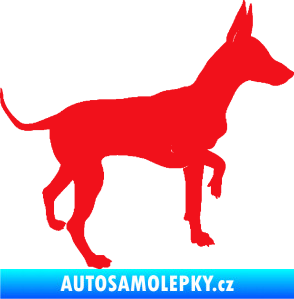 Samolepka Pes 093 pravá Pražský krysařík červená