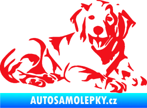 Samolepka Pes 106 pravá Retrívr červená