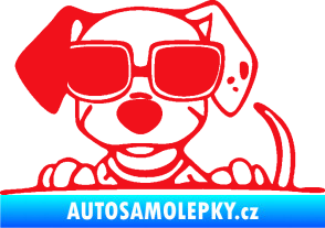Samolepka Pes s brýlemi 101 levá v autě červená