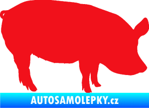Samolepka Prase 001 pravá červená