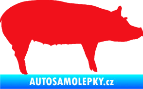 Samolepka Prase 002 pravá červená