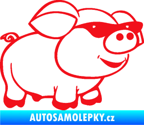 Samolepka Prase 006 pravá frajer v brýlích červená