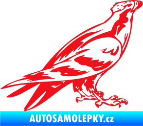 Samolepka Predators 006 pravá červená