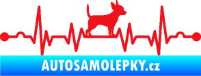 Samolepka Srdeční tep 006 pravá čivava červená
