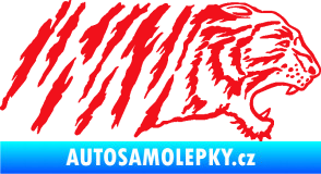 Samolepka Tygr 004 pravá červená