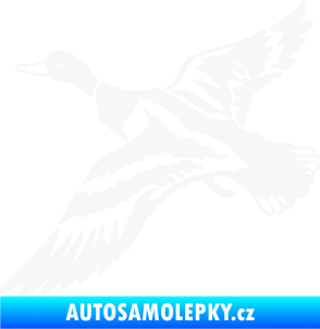 Samolepka Kachna divoká 001 levá kačer bílá