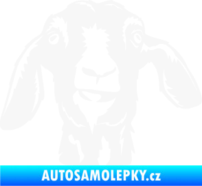 Samolepka Koza 003 pravá bílá