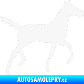 Samolepka Kůň 011 pravá bílá