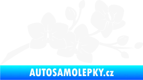 Samolepka Květina dekor 008 pravá orchidej bílá