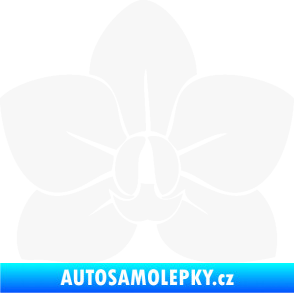 Samolepka Květina dekor 023 orchidej květ bílá