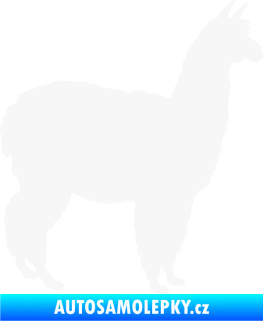 Samolepka Lama 002 pravá alpaka bílá
