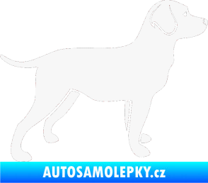 Samolepka Pes 062 pravá Labrador bílá