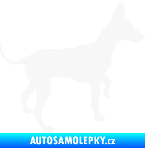 Samolepka Pes 093 pravá Pražský krysařík bílá