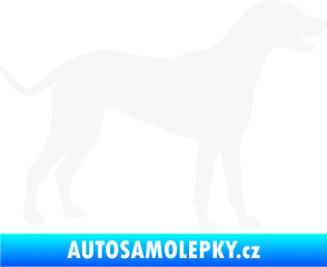 Samolepka Pes 095 pravá Dalmatin bílá
