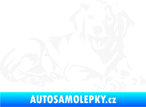 Samolepka Pes 106 pravá Retrívr bílá