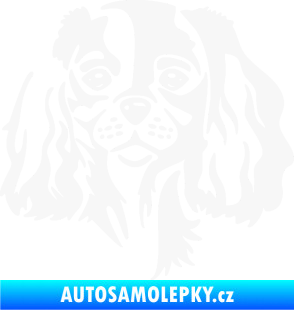 Samolepka Pes 132 pravá Cavalier king Charles spaniel bílá