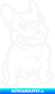 Samolepka Pes 139 pravá francouzský buldoček bílá