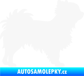 Samolepka Pes 156 pravá čivava bílá
