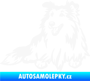 Samolepka Pes 162 levá sheltie bílá